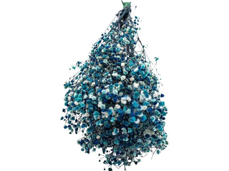 Mavi Şoklanmış Cipso - Kuru Çiçek 10 GR - 2