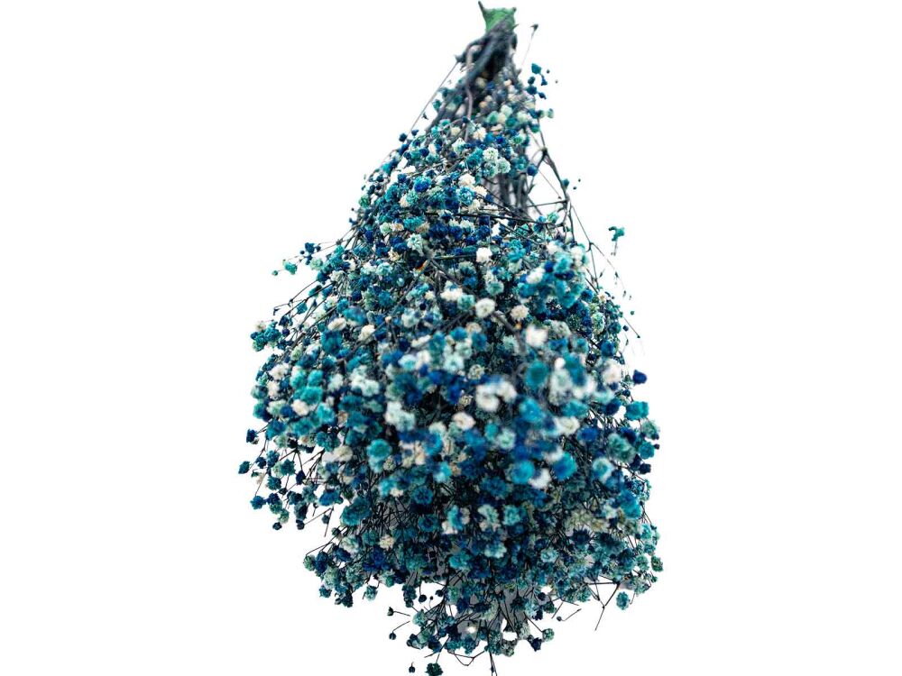 Mavi Şoklanmış Cipso - Kuru Çiçek 10 GR - 2