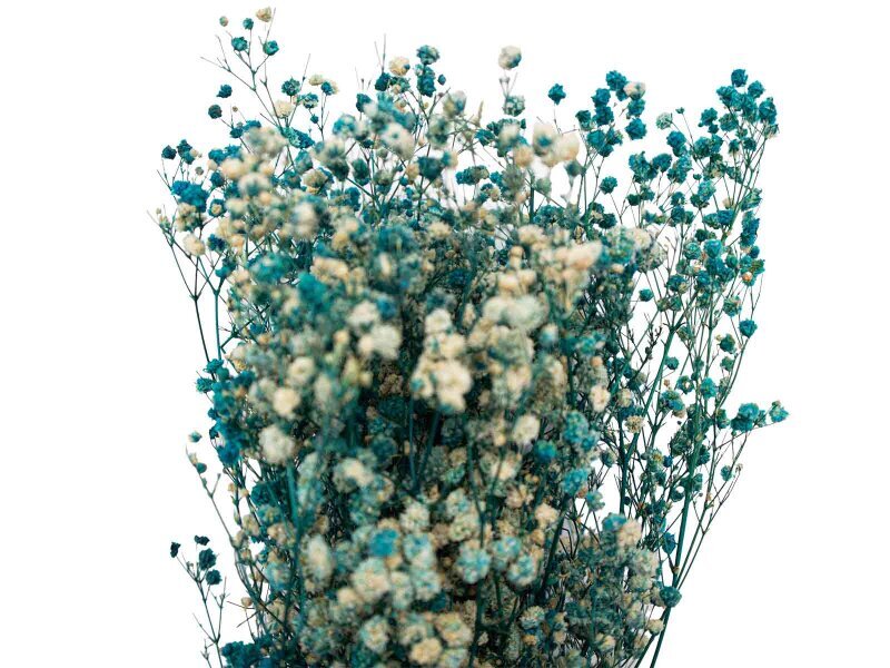 Mavi Şoklanmış Cipso - Kuru Çiçek Demeti - 2