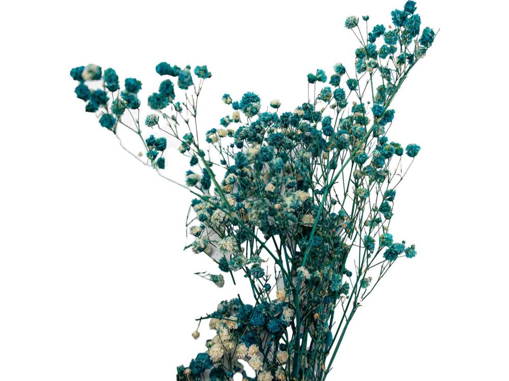 Mavi Şoklanmış Cipso - Kuru Çiçek Demeti - 4