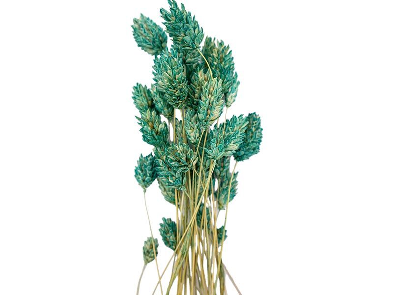 Mint Yeşili Kuş Otu Kuru Çiçek Demeti 10 GR - 1