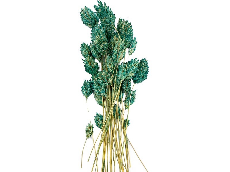Mint Yeşili Kuş Otu Kuru Çiçek Demeti 10 GR - 2