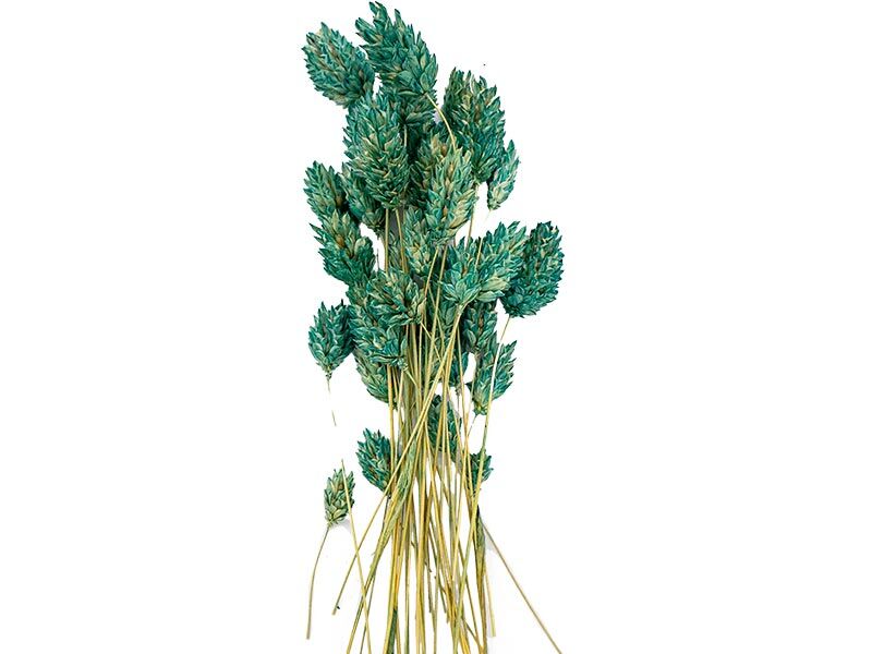 Mint Yeşili Kuş Otu Kuru Çiçek Demeti 10 GR - 2