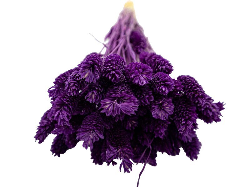 Mor Kuş Otu Kuru Çiçek Demeti - 3