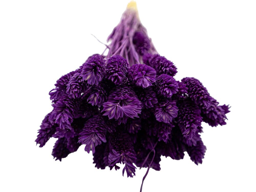 Mor Kuş Otu Kuru Çiçek Demeti - 3