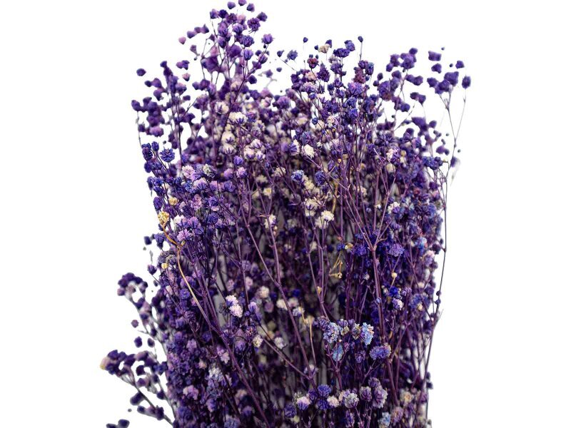 Mor Şoklanmış Cipso - Kuru Çiçek Demeti - 3