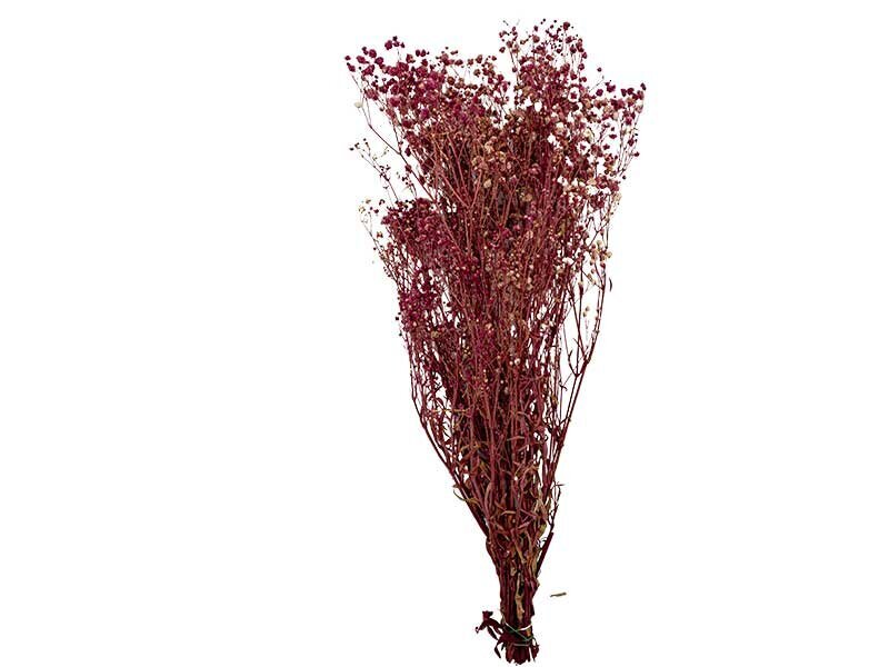 Mürdüm Şoklanmış Cipso - Kuru Çiçek - 1