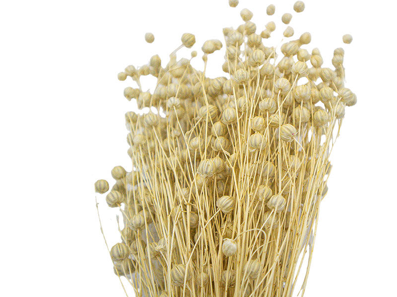 Naturel Keten Otu Kuru Çiçek Demeti 10 GR - 2