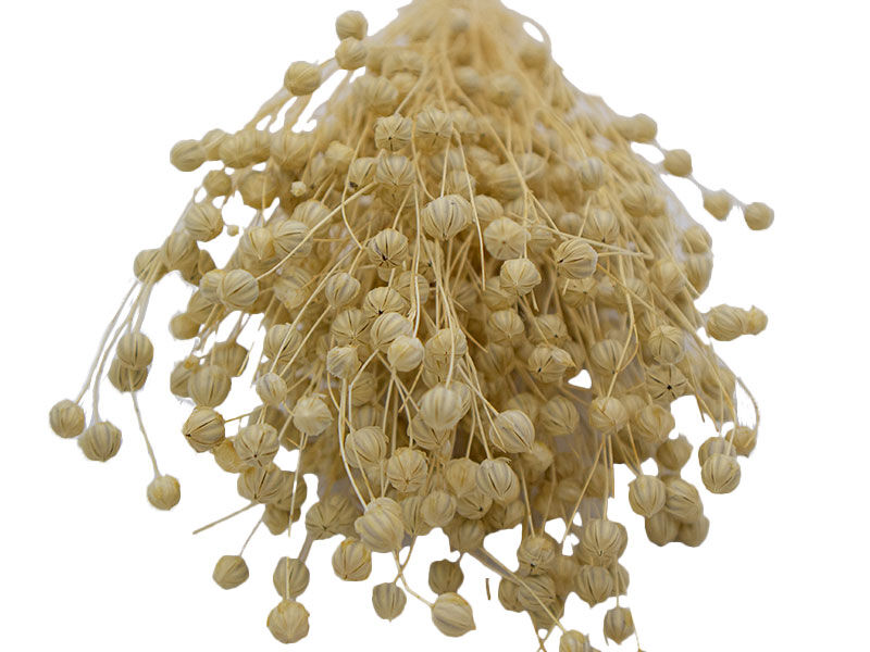 Naturel Keten Otu Kuru Çiçek Demeti 10 GR - 3