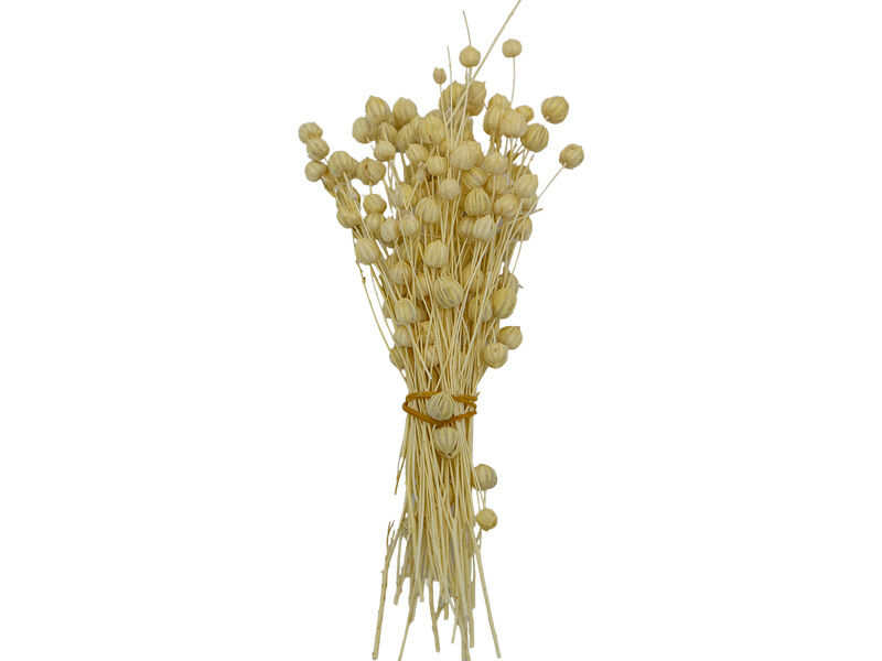 Naturel Keten Otu Kuru Çiçek Demeti 10 GR - 1
