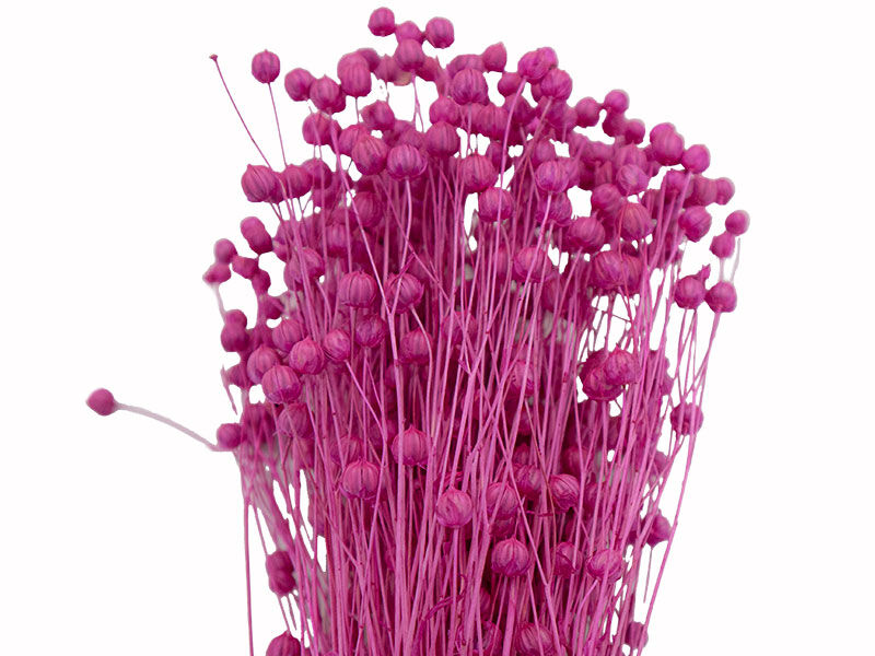 Pembe Keten Otu Kuru Çiçek Demeti 10 GR - 2