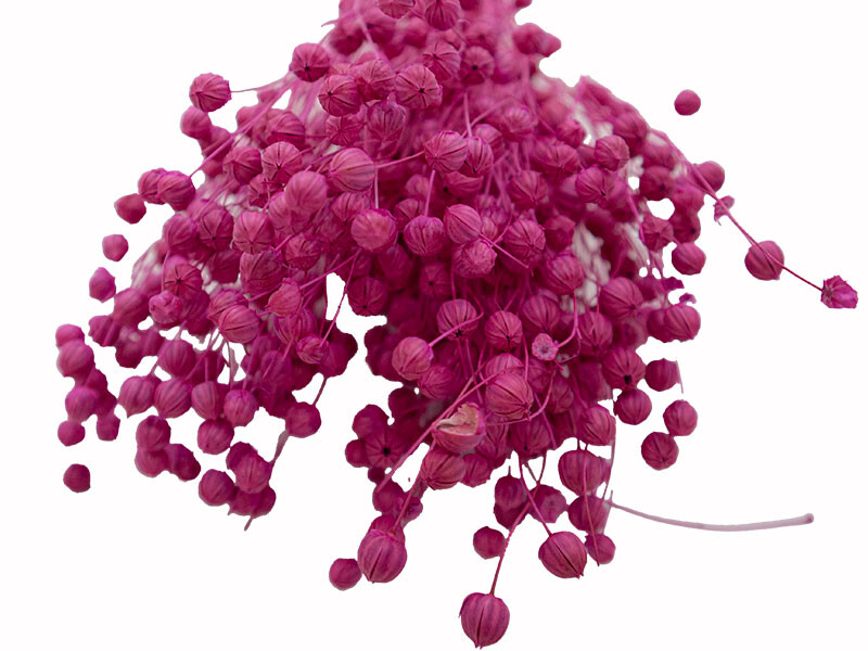 Pembe Keten Otu Kuru Çiçek Demeti 10 GR - 3