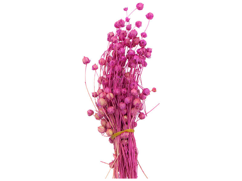 Pembe Keten Otu Kuru Çiçek Demeti 10 GR - 1