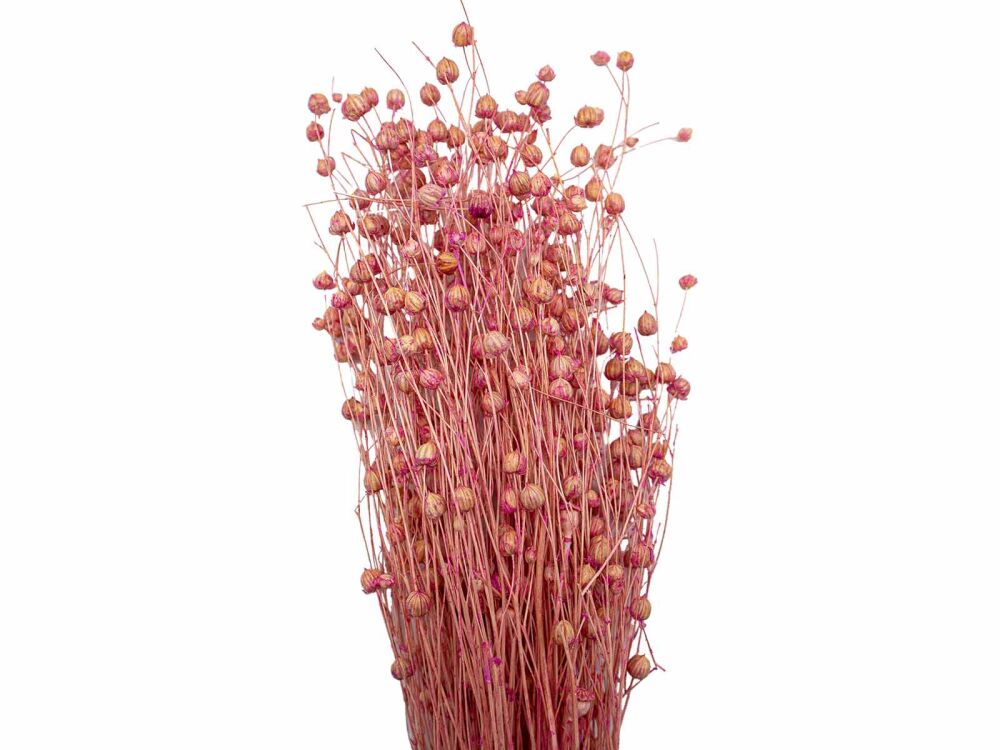 Pembe Keten Otu Kuru Çiçek Demeti 10 GR - 1