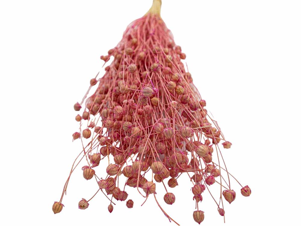 Pembe Keten Otu Kuru Çiçek Demeti - 3