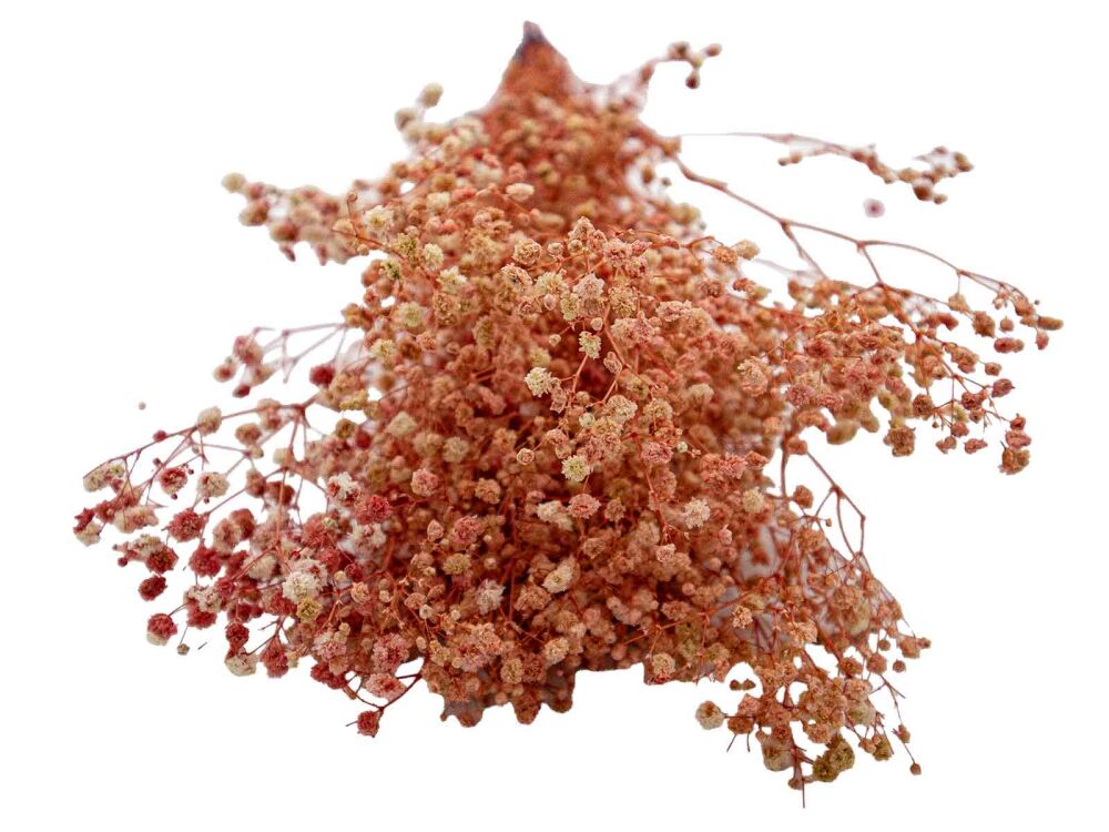 Pembe Şoklanmış Cipso - Kuru Çiçek Demeti - 3