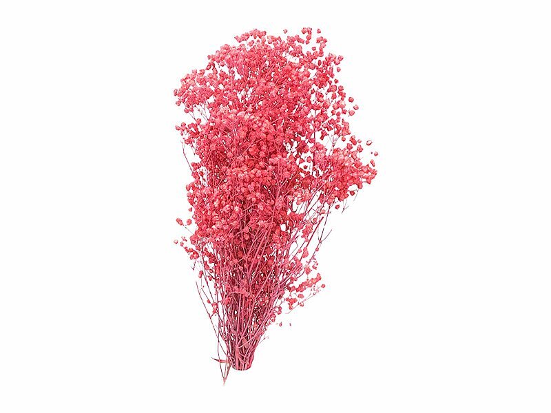 Pembe Şoklanmış Cipso - Kuru Çiçek Demeti - Kimyacınız