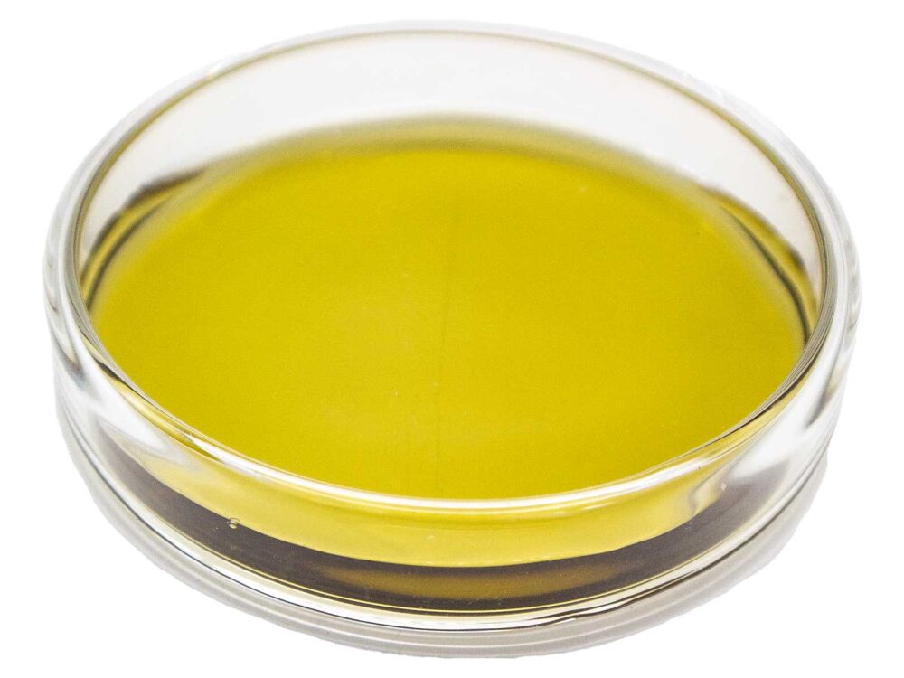 Petri Kutusu Cam 20x100 MM - 3