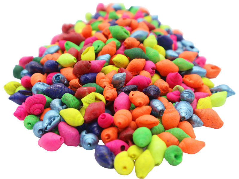 Renkli Deniz Kabuğu 1 KG - 2
