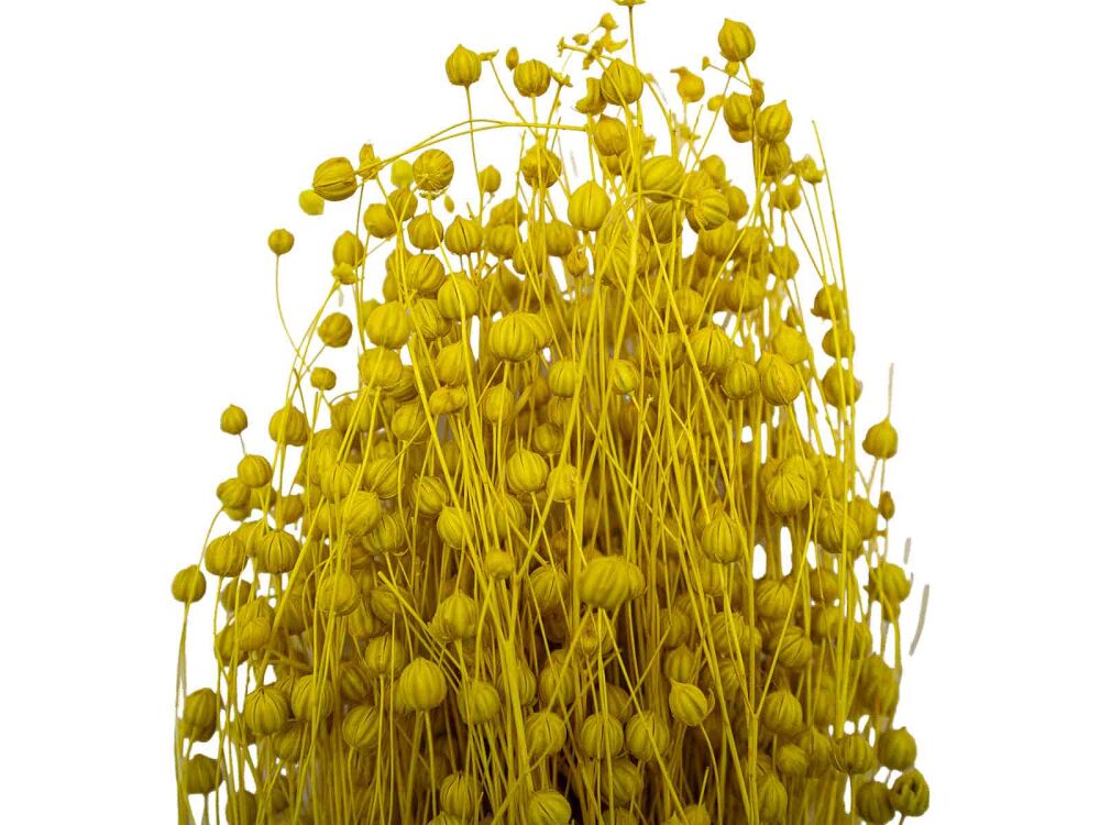 Sarı Keten Otu Kuru Çiçek Demeti 10 GR - 1