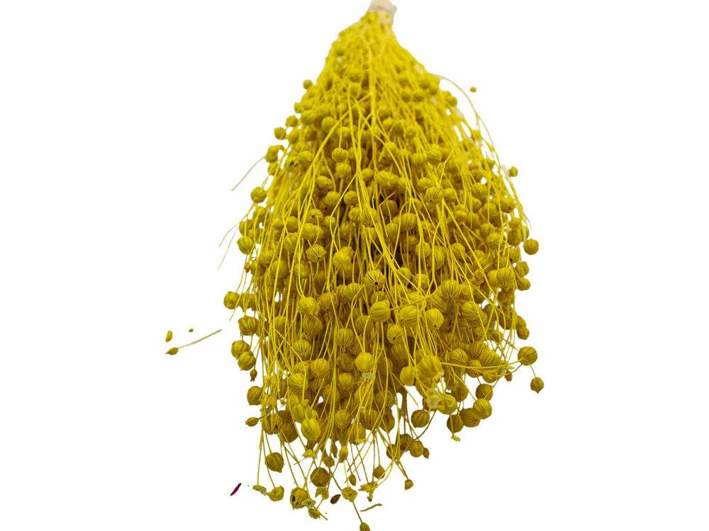 Sarı Keten Otu Kuru Çiçek Demeti - 3