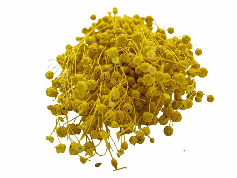 Sarı Keten Otu Kuru Çiçek Demeti - 4