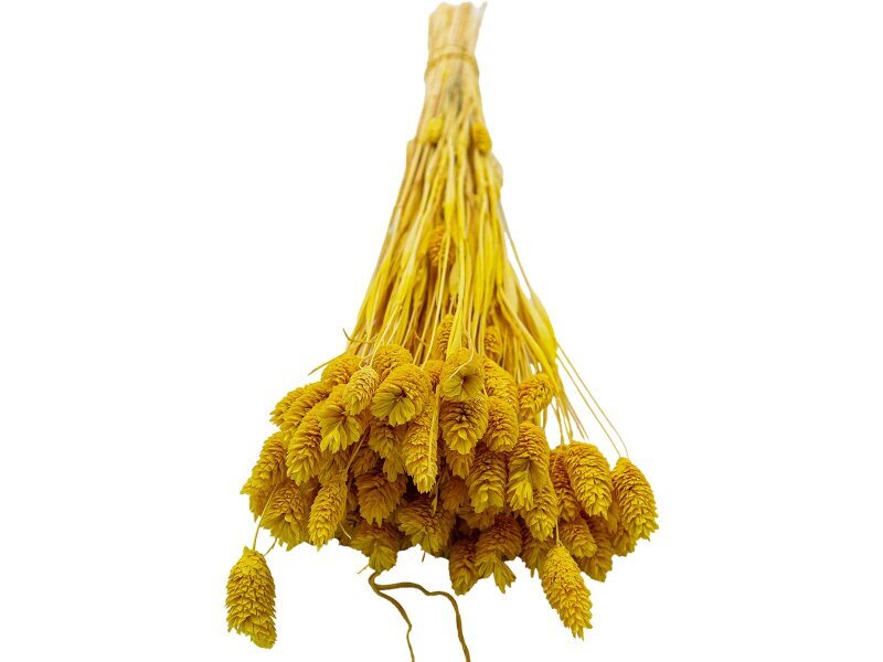 Sarı Kuş Otu Kuru Çiçek Demeti - 3
