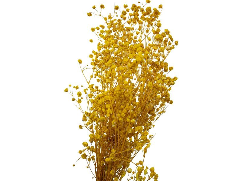 Sarı Şoklanmış Cipso - Kuru Çiçek Demeti - 2