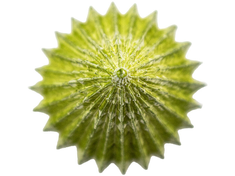 Simetrik Çam Ağacı Silikon Mum Kalıbı M-141 - 10