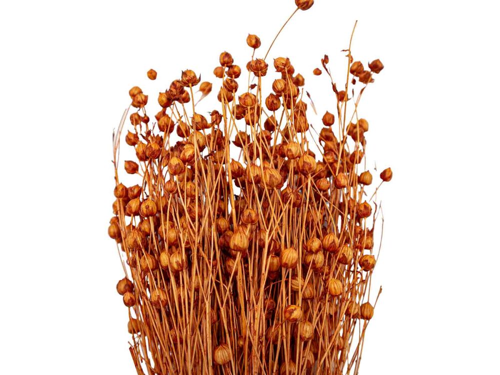 Turuncu Keten Otu Kuru Çiçek Demeti - 4