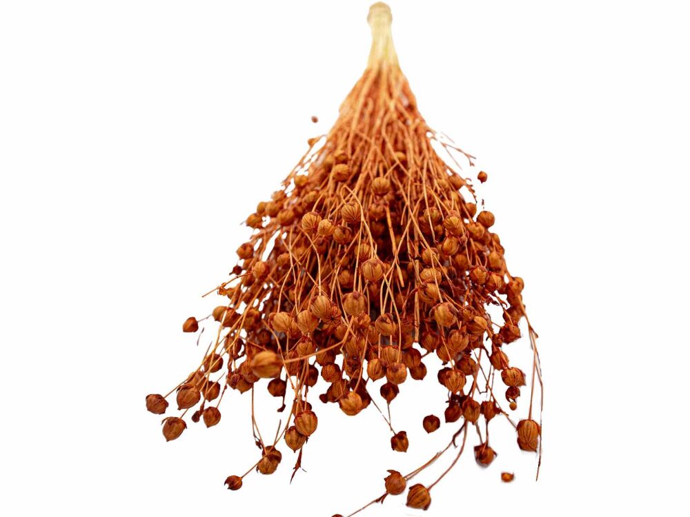 Turuncu Keten Otu Kuru Çiçek Demeti - 2