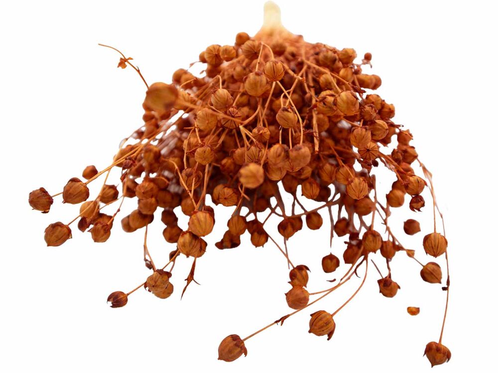 Turuncu Keten Otu Kuru Çiçek Demeti - 3