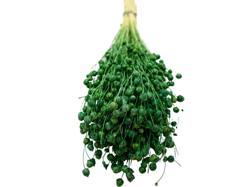 Yeşil Keten Otu Kuru Çiçek Demeti - 3