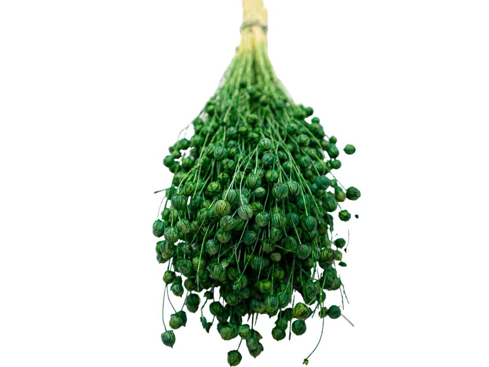 Yeşil Keten Otu Kuru Çiçek Demeti - 3