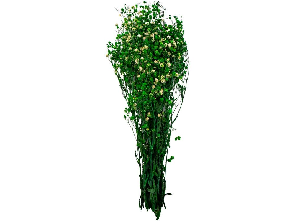 Yeşil Şoklanmış Cipso - Kuru Çiçek Demeti - 1