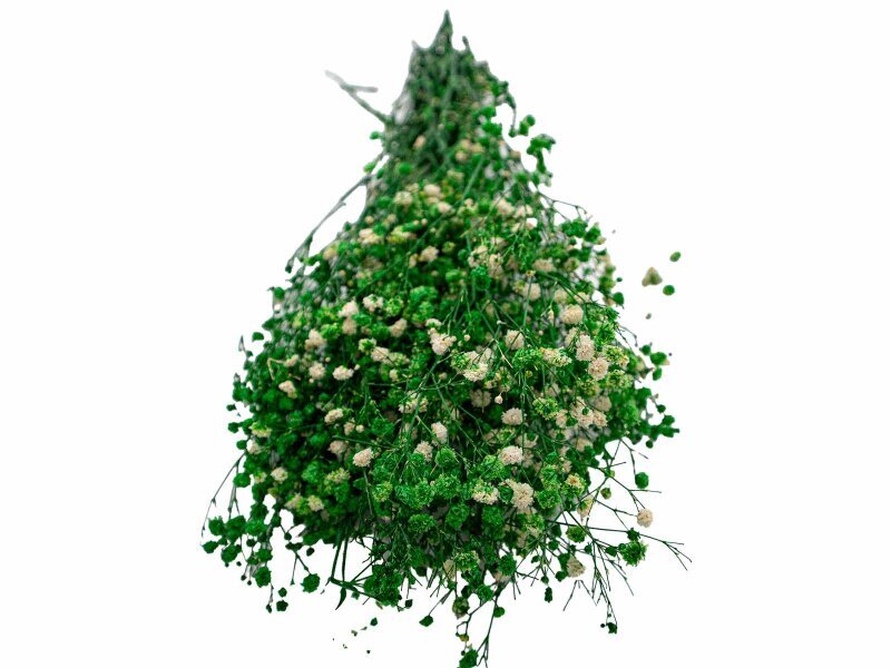 Yeşil Şoklanmış Cipso - Kuru Çiçek Demeti - 2