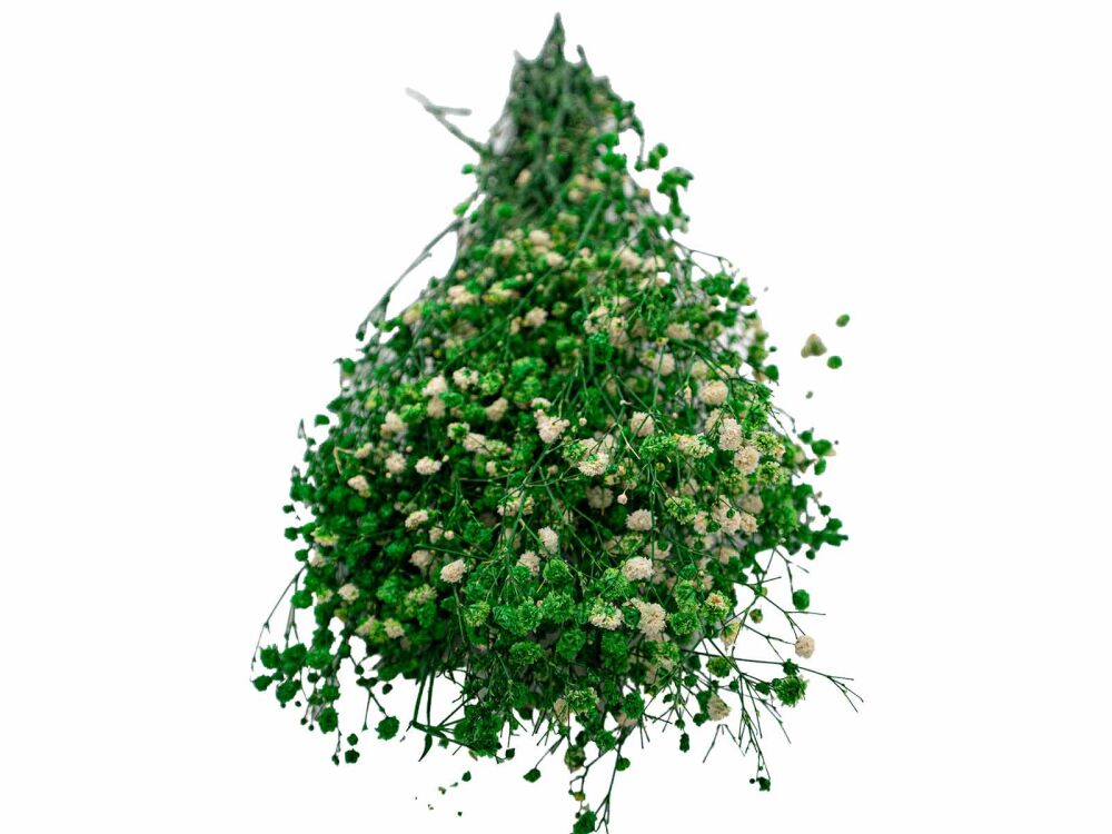 Yeşil Şoklanmış Cipso - Kuru Çiçek Demeti - 2